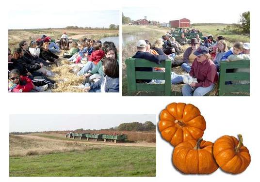 hayride pic
