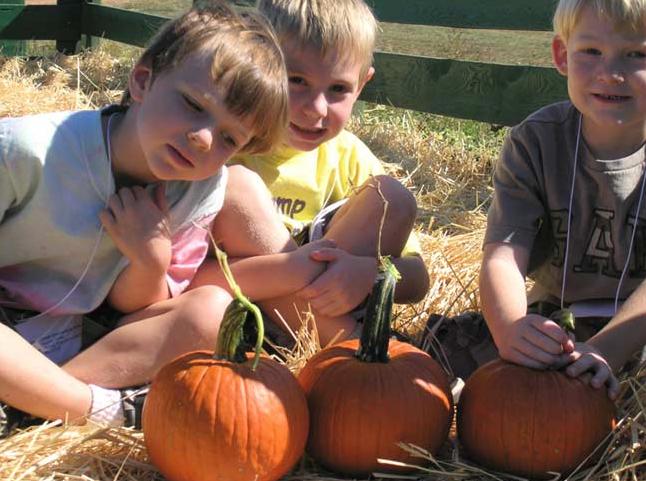 pumpkids