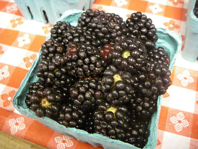 thornless blackberries in a box