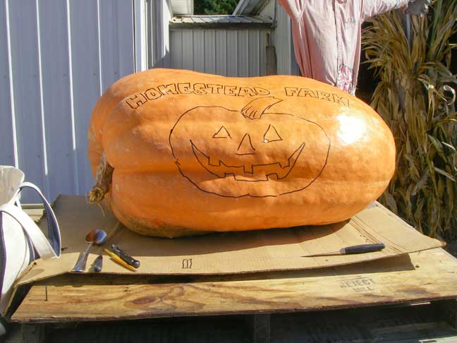 drawing on a giant pumpkin