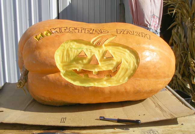 almost finished carved giant pumpkin