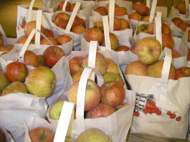 bagged apples