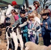 Kids with Calf